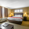 Отель MainStay Suites Jacksonville near Camp Lejeune, фото 6