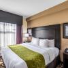 Отель Comfort Suites Lexington, фото 5