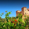 Отель Kasbah Ait Benhadda, фото 18
