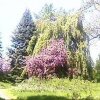 Отель Leinegarten, фото 9