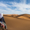 Отель Desert Deep Camp, фото 15