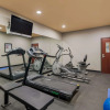 Отель Best Western South Plains Inn & Suites, фото 17