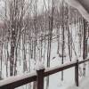 Отель The Pika - Beautiful Mountain-top Cottage With 23 Acres of Private Land With Hiking, фото 18