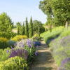Отель Relais Di Tenuta Santa Caterina, фото 13