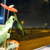 Отель Lima Airport Hostel, фото 26