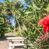 Отель Gigi's - Absolute Beachfront, фото 1