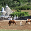 Отель Casa tra i Trulli, фото 13