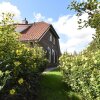 Отель Cozy Holiday Home in Hollandscheveld with Forest Nearby, фото 5