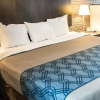 Отель Econo Lodge, фото 4