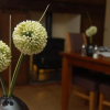 Отель Yr Hafod Country House, фото 33