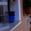 Отель B&B La Locanda degli Artisti, фото 16