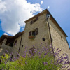 Отель Belvilla by OYO La Rocca Estate, фото 1