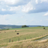 Отель Beautiful Ardennes House in Quiet Area, фото 17