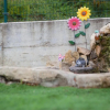Отель Casa Rural de Pobes Lagun Etxea, фото 8