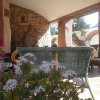 Отель Locanda Tipica Sa Corte, фото 20