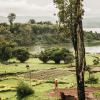 Отель One&Only Nyungwe House, фото 10
