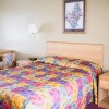 Отель Rancho Tee Motel, фото 6