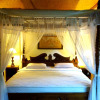 Отель Ketut's Place Bed & Breakfast Ubud, фото 16