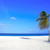 Отель Aruba - Casa Alessandra 2bdr, фото 18