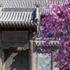 Отель Datong Yunzhong Traditional Courtyard, фото 1