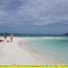 Отель SHAZ Resort Pulau Tinggi, фото 8