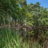 Отель Restyled Bungalow With Dishwasher, in Natural Surroundings, фото 2