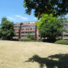 Отель Spacious 3 Bedroom Apartment in Battersea With Terrace, фото 11