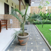 Отель Prasada Guesthouse Canggu Bali, фото 11