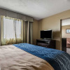 Отель Comfort Inn & Suites Crystal Inn Sportsplex, фото 7