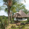Отель Jackalberry Farm & Lodge, фото 10