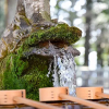Отель Kirishima Jingu Onsen Akamatsuso (Kagoshima), фото 11
