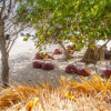 Отель Mowies on the Beach, фото 21