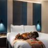 Отель Ink Hotel Melbourne Southbank, фото 23
