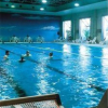 Отель Langfang International Hotel, фото 12
