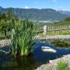 Отель Agriturismo Alpenvidehof, фото 33