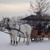 Отель Soskuti Lovas Elmenypark Es Panzio, фото 14