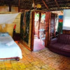Отель Tropical Biohostel by Rotamundos, фото 9