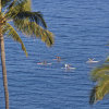 Отель Four Seasons Resort Maui at Wailea, фото 37