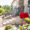 Отель Villa Vesta, фото 17