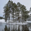 Отель The Pines at Gleneagles, фото 12