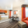 Отель Holiday Inn Express Mountain View - S Palo Alto, an IHG Hotel, фото 5