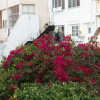 Отель Flores Apartment, фото 14