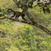 Отель Villas en el bosque, фото 9