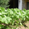 Отель Fazenda São Fernando, фото 39