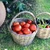 Отель Ada Bacchus Hotel, фото 11