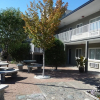 Отель Travelodge Kamloops, фото 9