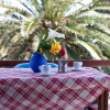 Отель Pavlos Place, фото 19