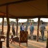 Отель Rhino Safari Camp, фото 20