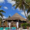 Отель Hip Hotel Tulum в Тулуме