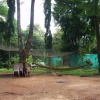 Отель Bannerghatta Nature Camp, фото 1